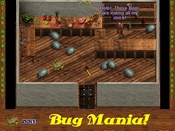 Bug Mania - Inside a shop